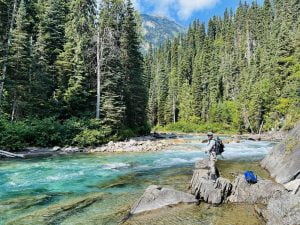 angler casting fly rod on remote freestone river in British Columbia wilderness