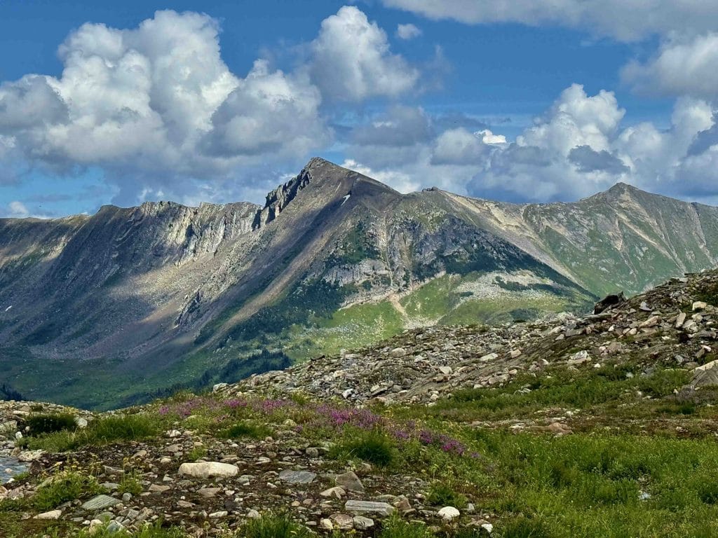Wild Flower Meadow Hikers walking through alpine wildflower meadows near Crescent Spur
