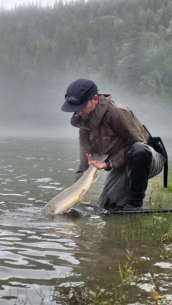 angler holding large bull trout caught on remote river in British Columbia