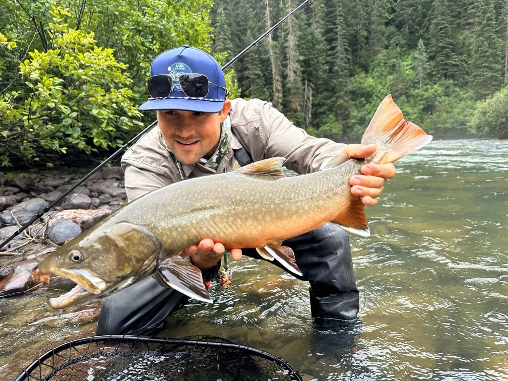 angler holding large bull trout caught on remote river in British Columbia