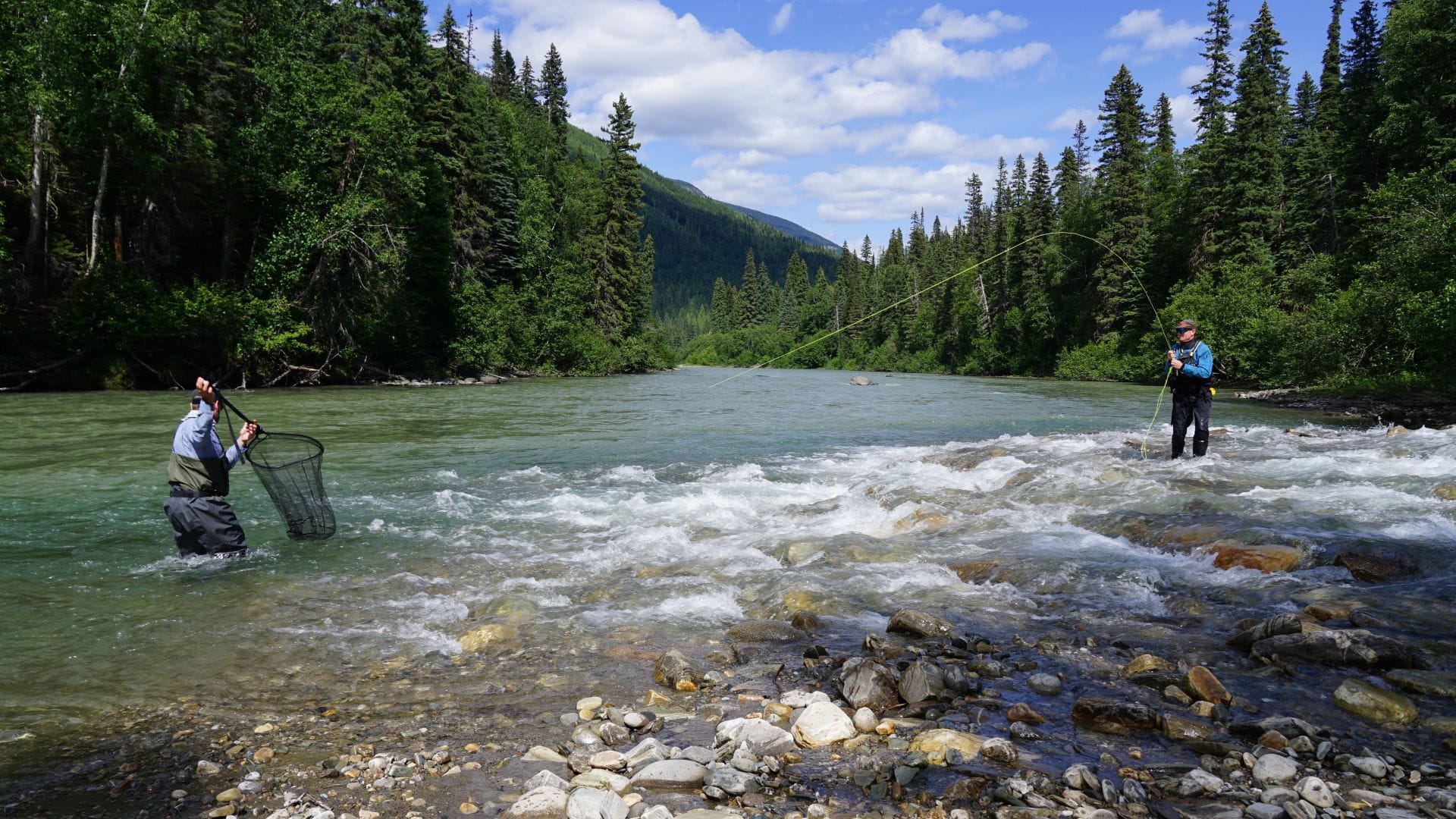 Fly fishermen catching bull trout in remote freestone river in northern British Columbia